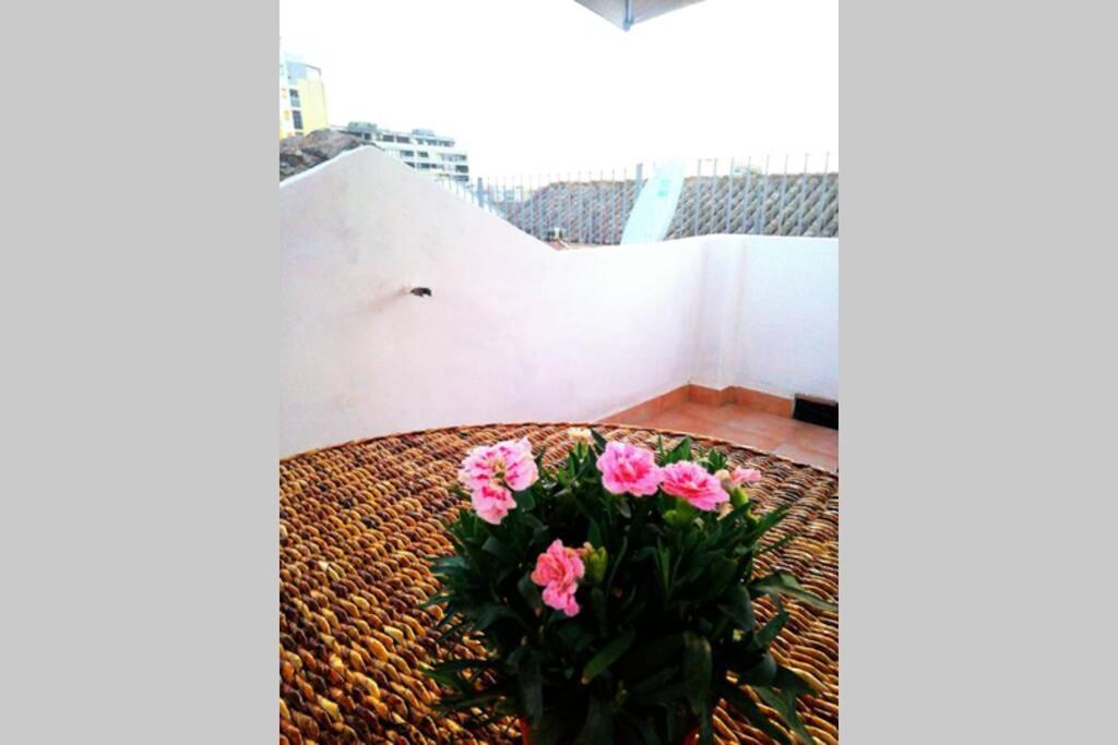 Cozy In The Center With Terrace Cagliari
